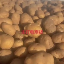 威宁三号，米啦洋芋，产地代收代发，质量好，价格便宜。