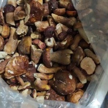 牛肝菌统货