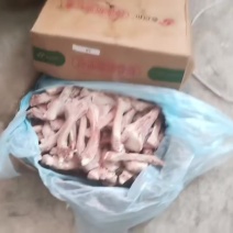 猪肋排条