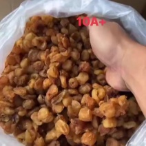 高州桂圆肉