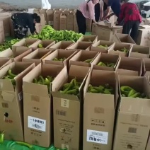 天镇县好辣椒🌶️2毛钱