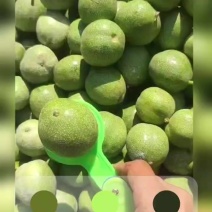 礼品2号核桃
