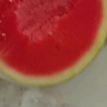 精品无籽