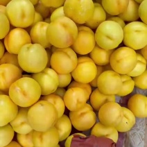 油八