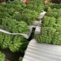 广西西贡蕉一件代发整车发货货源充足，欢迎老板咨询。