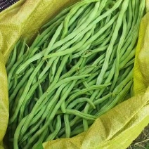 架豆王豆角看客户需求包装