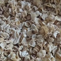 白玉