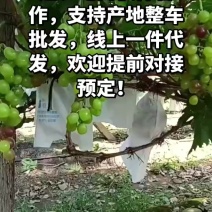 温克葡萄产地直供支持整车批发、一件貸发，团购、商超电商。