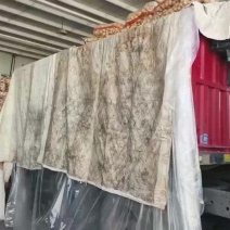 阿克苏精品实验一中果云南发车中