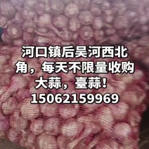 大量出售川蒜头，脱水油料！