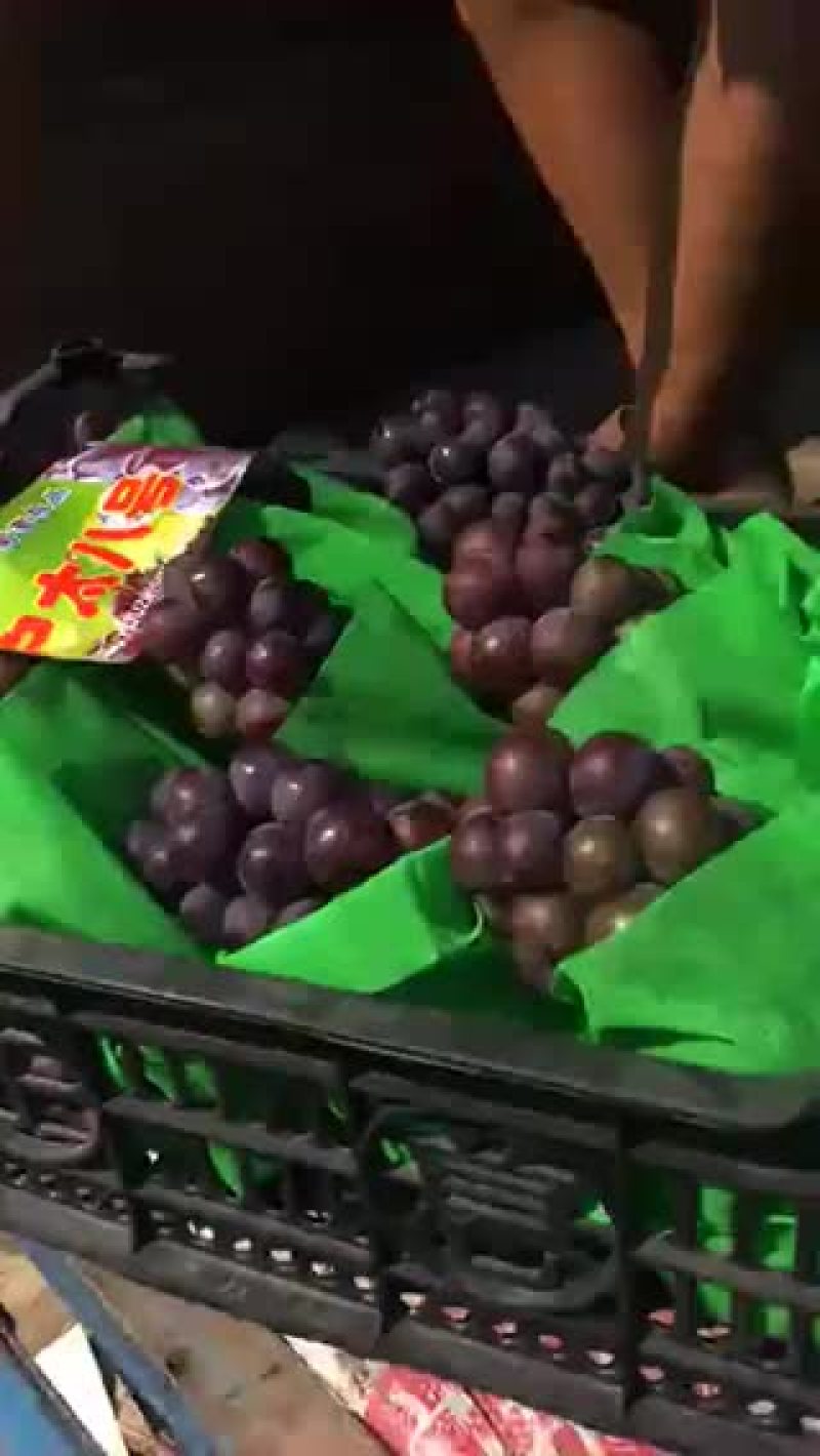 户太八号葡萄大量上市！欢迎👏