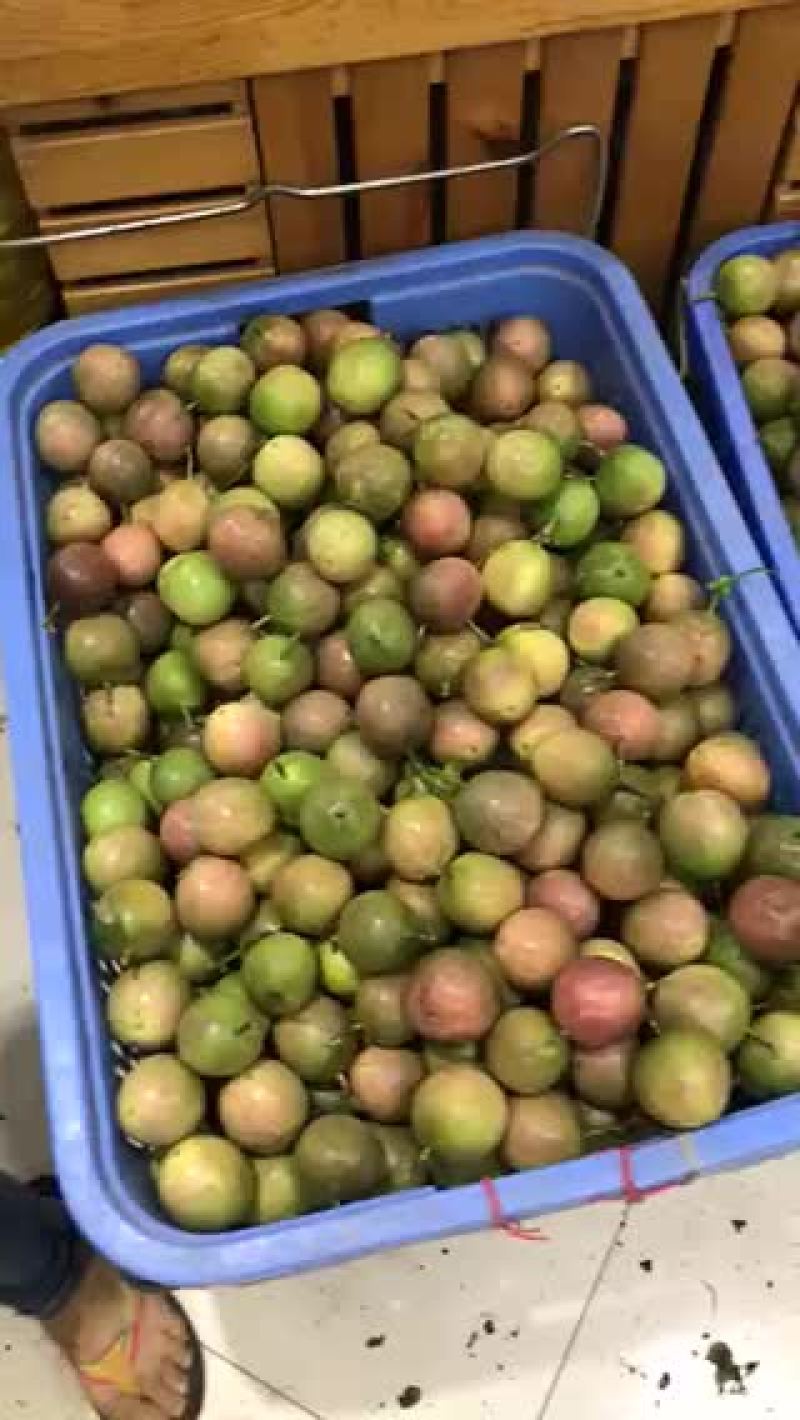 中大果批发零售，一件代发