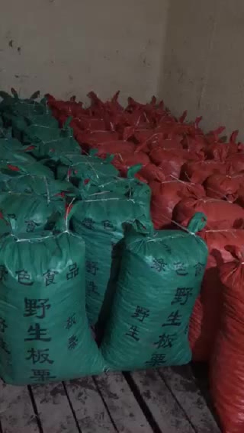 大量批发云南板栗