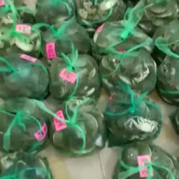 大闸蟹