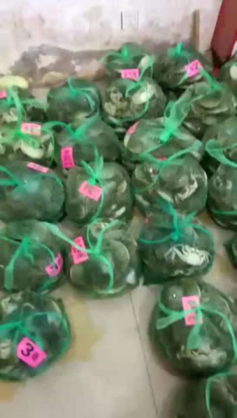 大闸蟹
