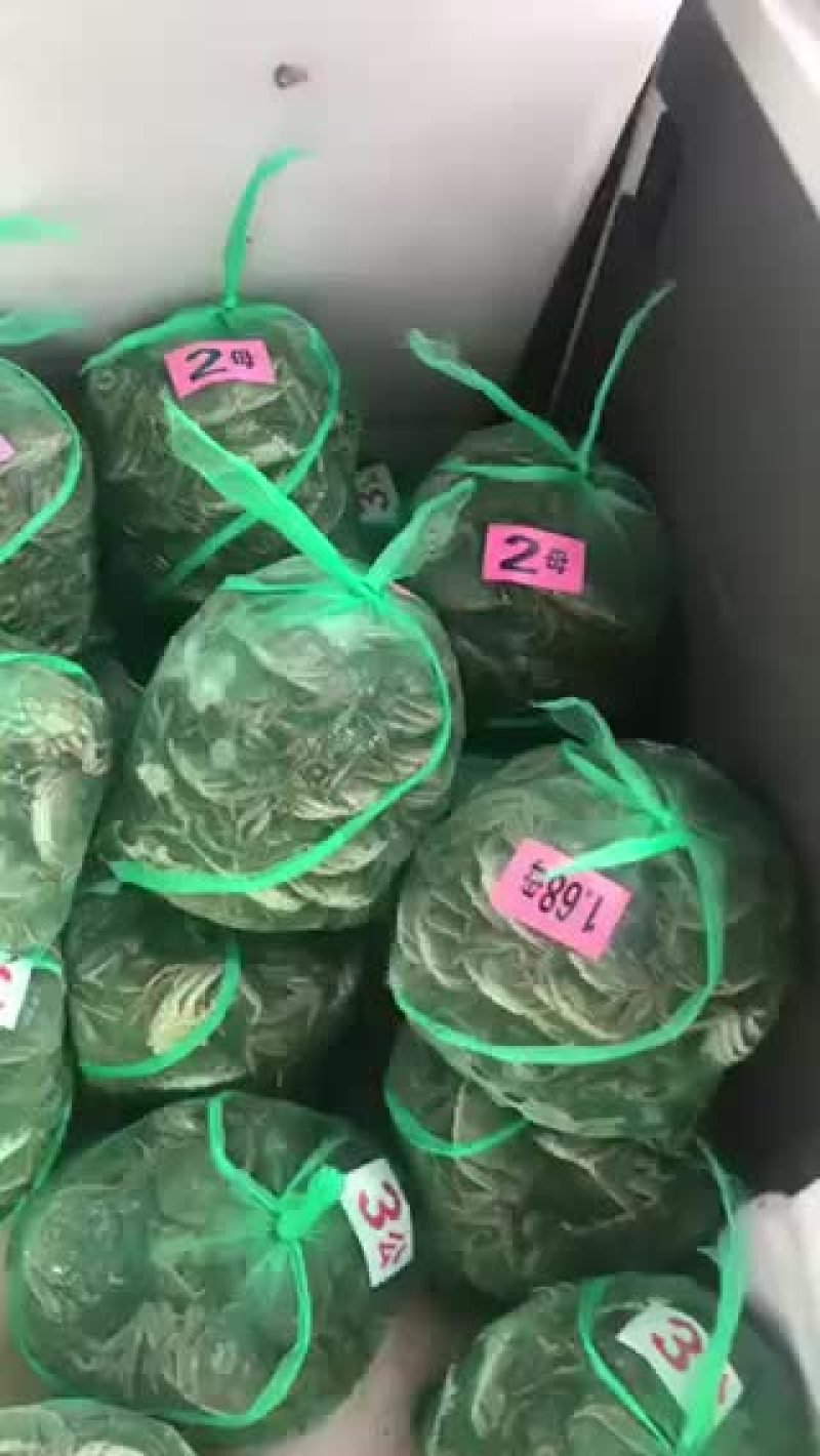大闸蟹