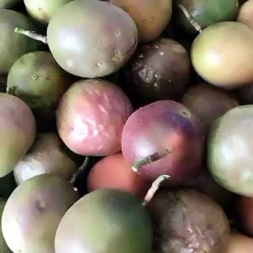 花皮果，中小果