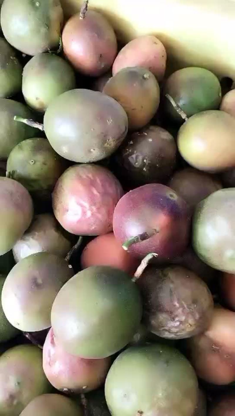 花皮果，中小果