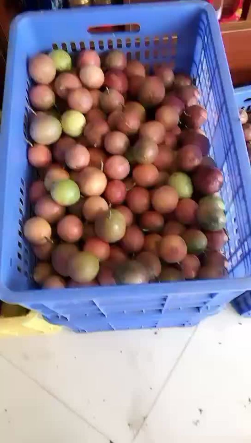 花皮果，中小果