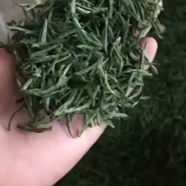 🍃🍃黄山毛峰，中秋送客户送家人首选