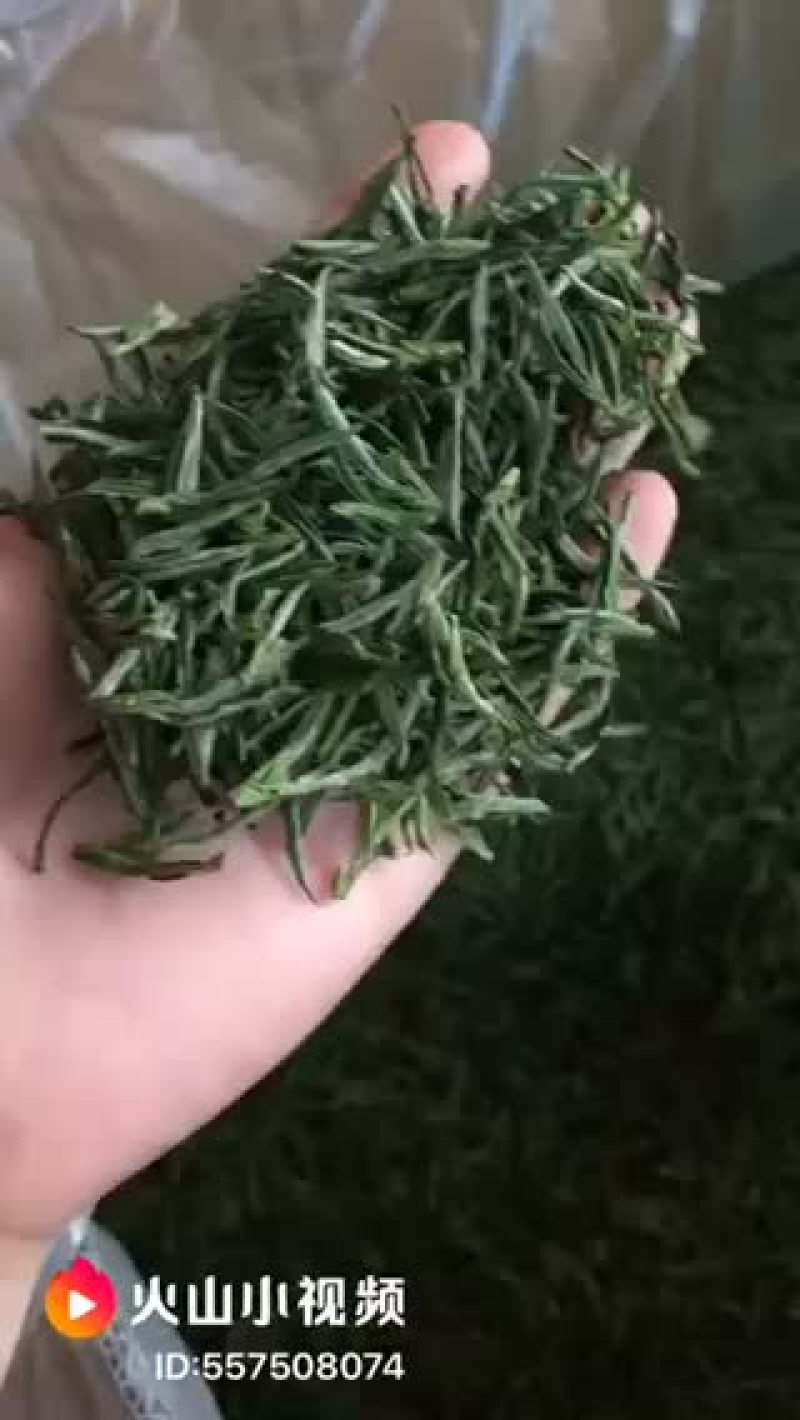 🍃🍃黄山毛峰，中秋送客户送家人首选