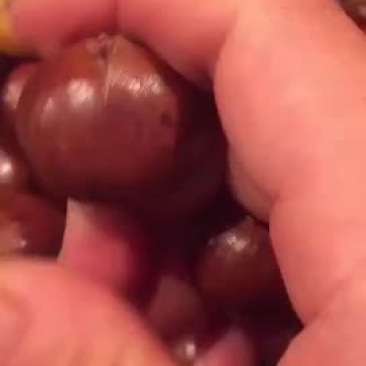 糖炒板栗