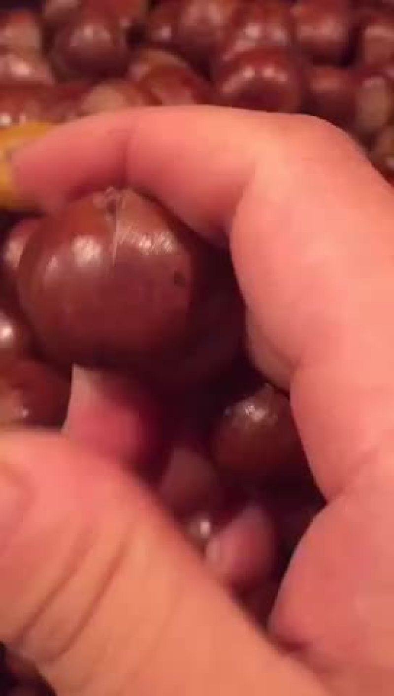 糖炒板栗