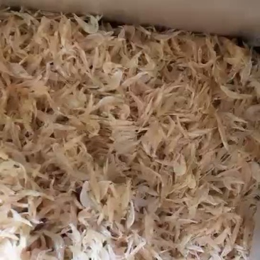本地虾皮