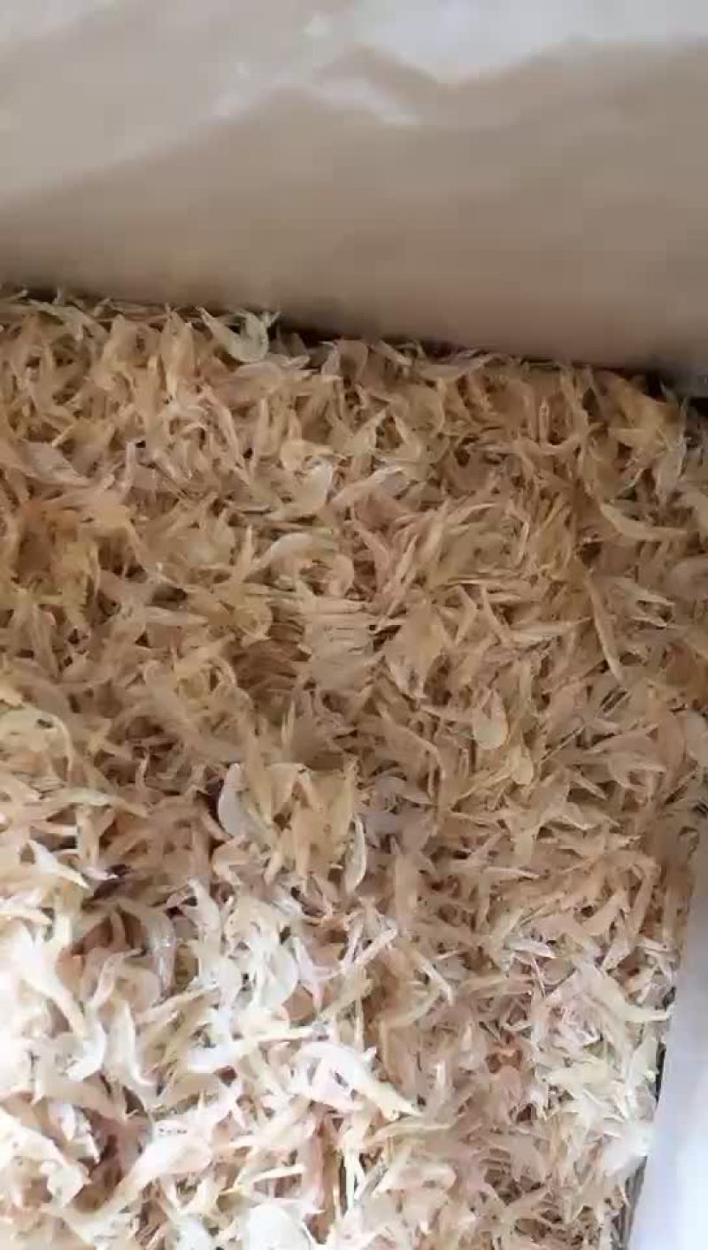 本地虾皮
