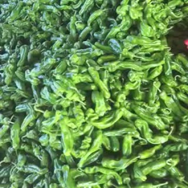 辣椒