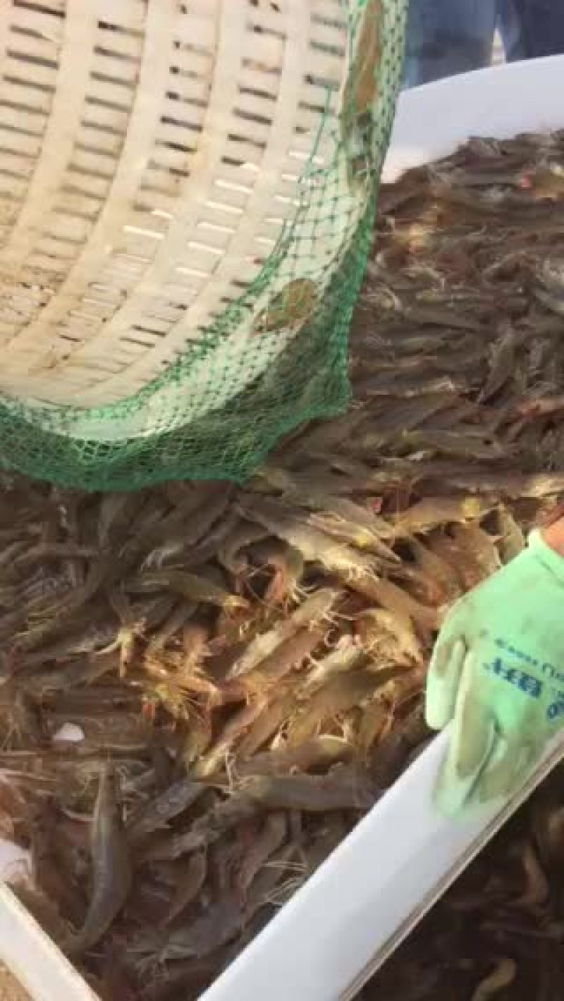 真的要结束了哦