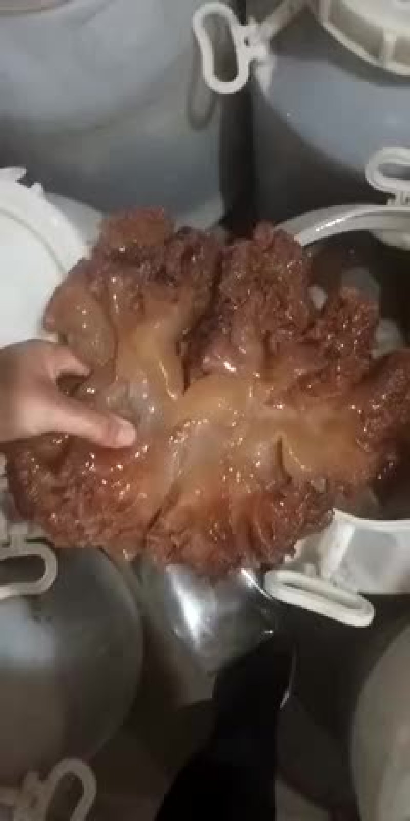 海蜇头和海蜇皮都有