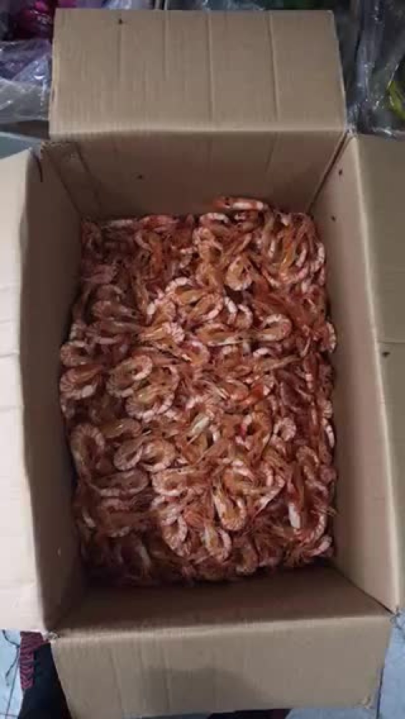 烤东方虾干