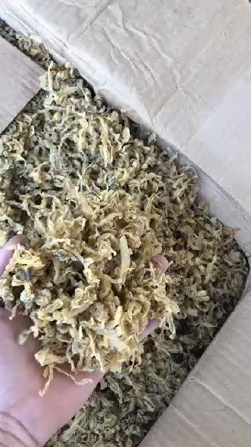 扇贝裙边，干贝边
