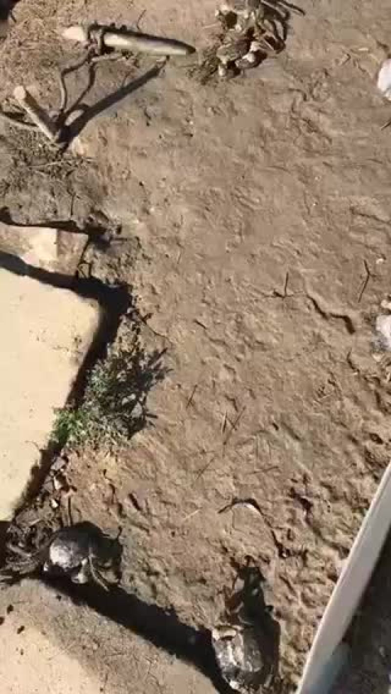 各种规格欢迎订购