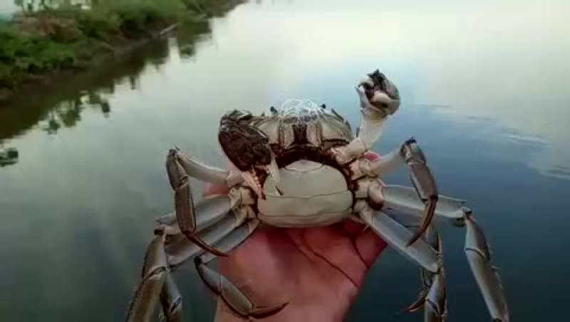 各种规格欢迎订购