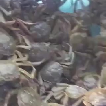 各种规格欢迎订购