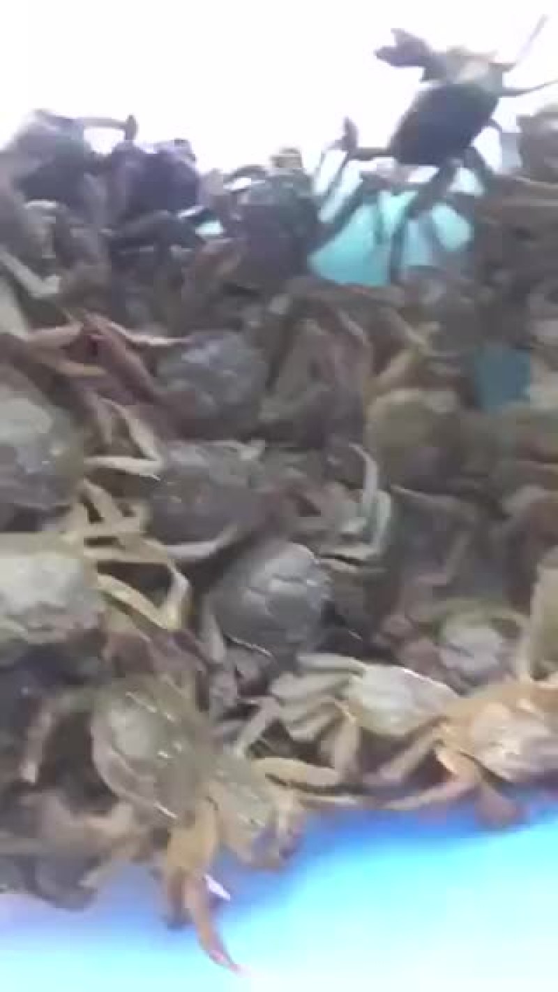 各种规格欢迎订购