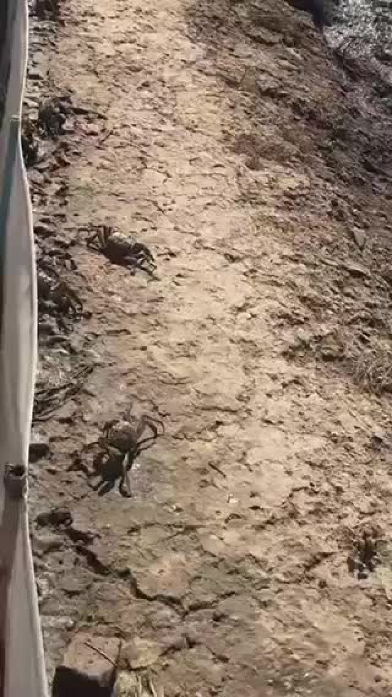 各种规格欢迎订购