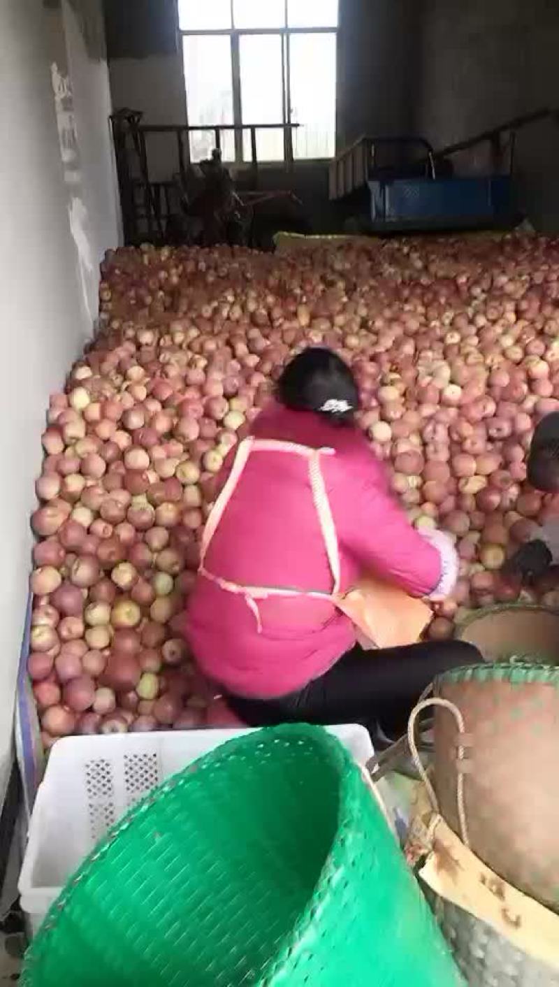 糖心丑苹果