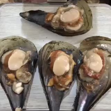 带子