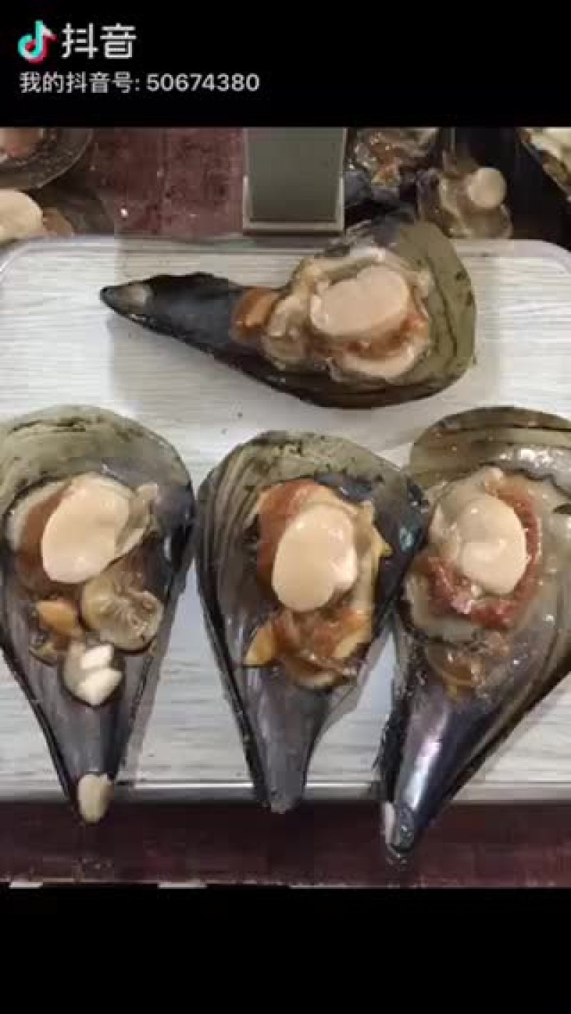 带子