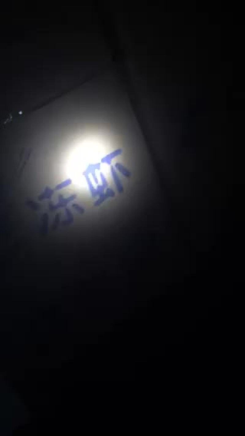 冻虾