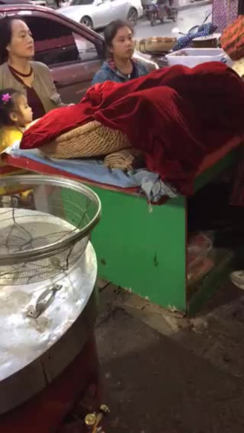 大量供应板栗，