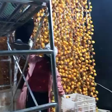 富平柿饼