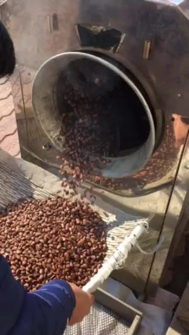 新炒的大颗粒松子