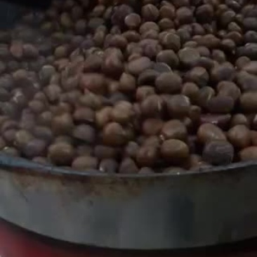长年批发板栗