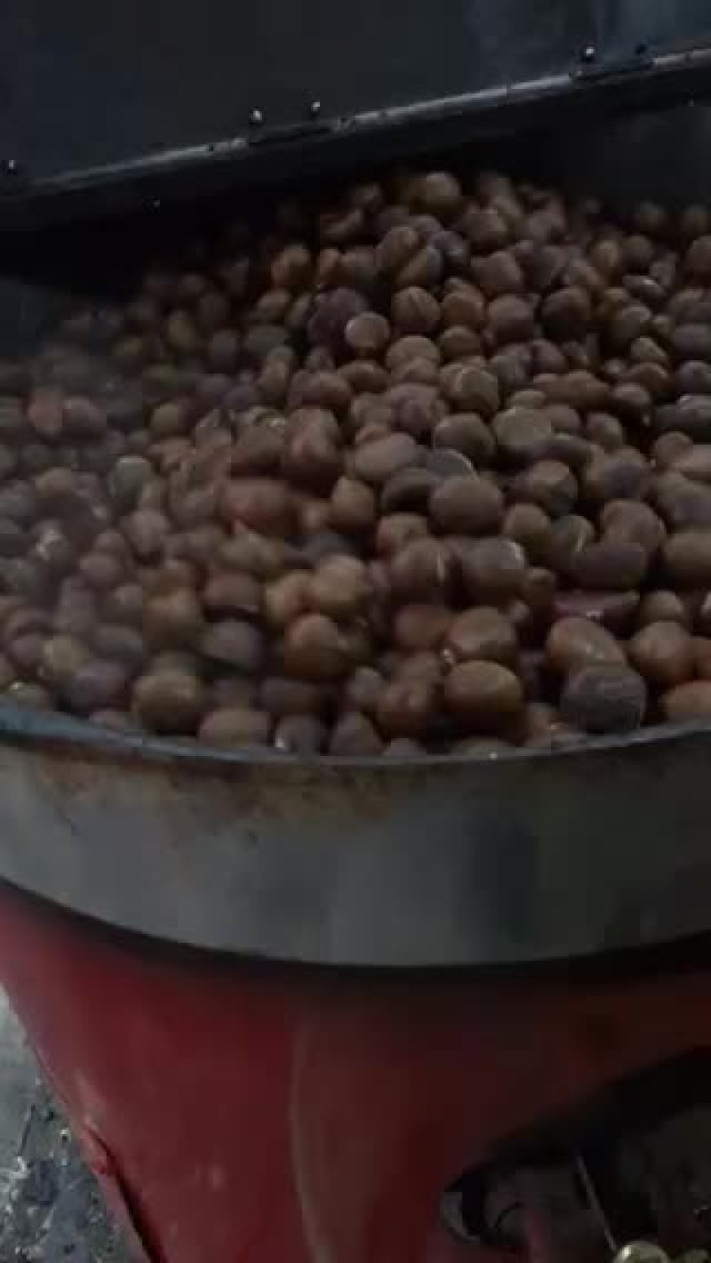 长年批发板栗