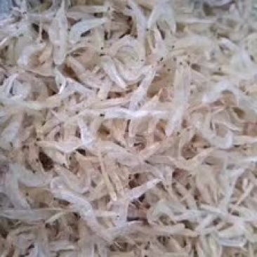 虾
