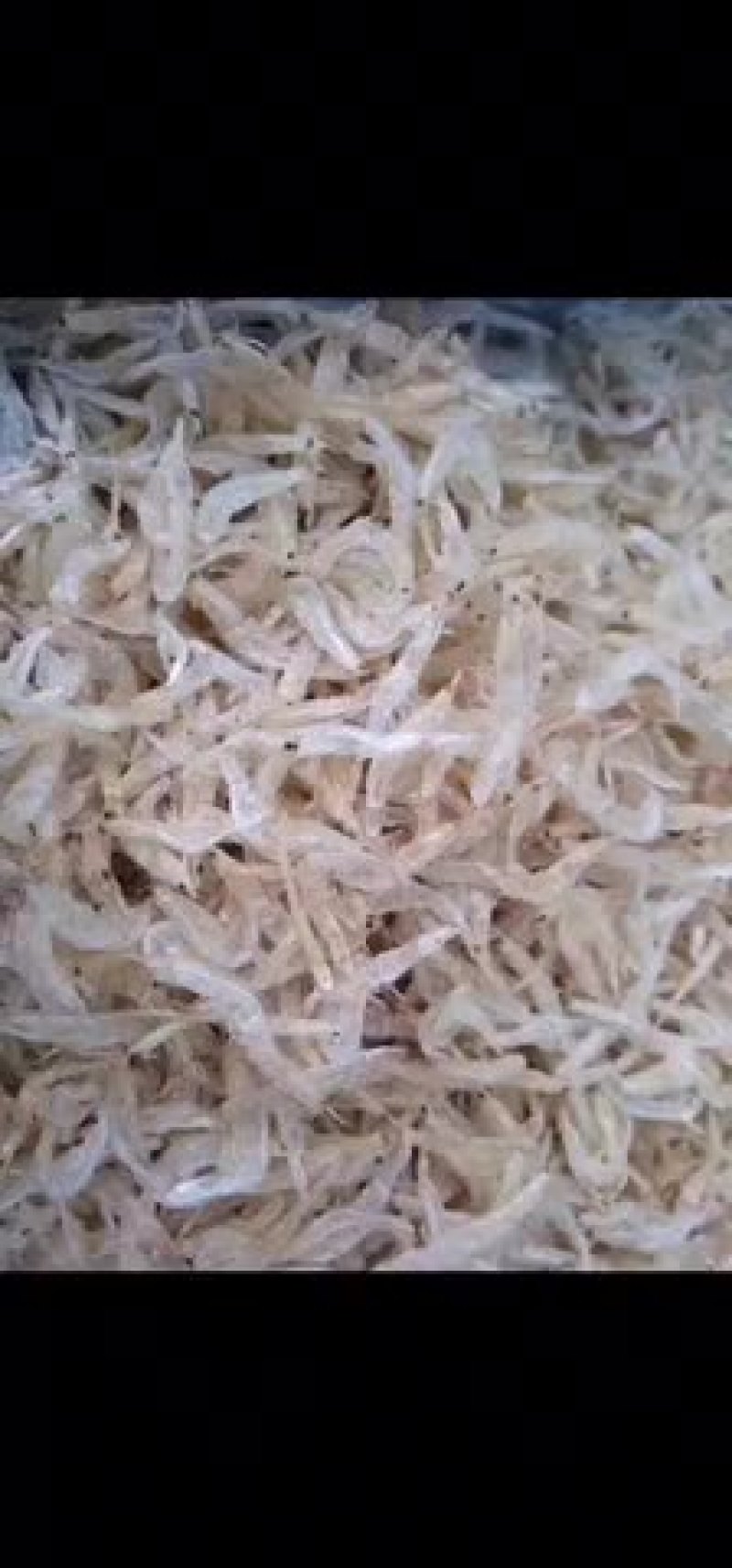 虾